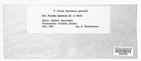 Image Associated With the Occurence